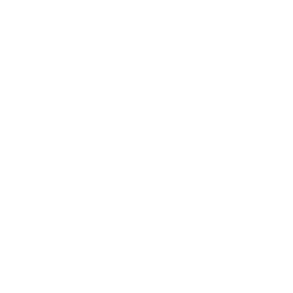 Nx logo